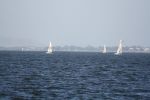 IMG 0624