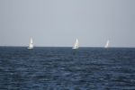 IMG 0627