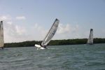 IMG 0586