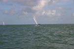 IMG 0603
