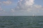 IMG 0608
