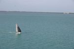 IMG 0702