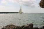 IMG 0718
