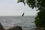 IMG 0720
