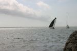 IMG 0721